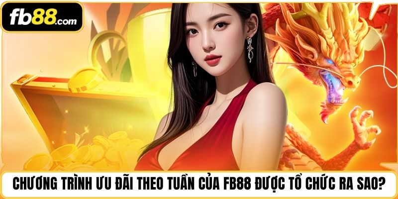 Chương trình ưu đãi theo tuần của FB88 được tổ chức ra sao?