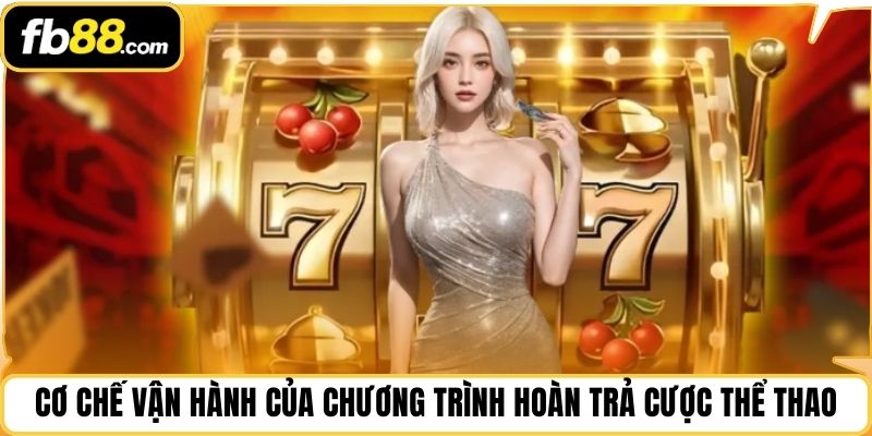 Cơ chế vận hành của chương trình hoàn trả cược thể thao