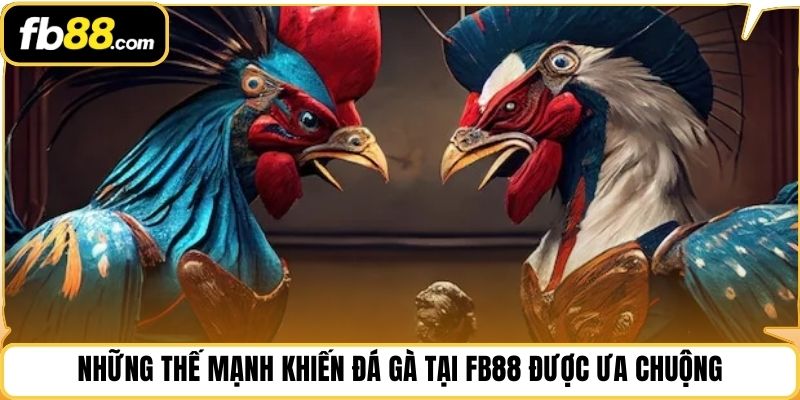 Những thế mạnh khiến đá gà tại FB88 được ưa chuộng