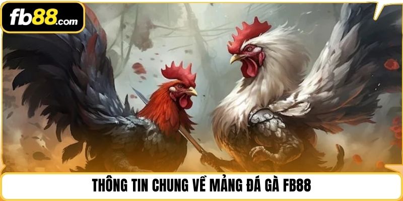 Thông tin chung về mảng đá gà FB88