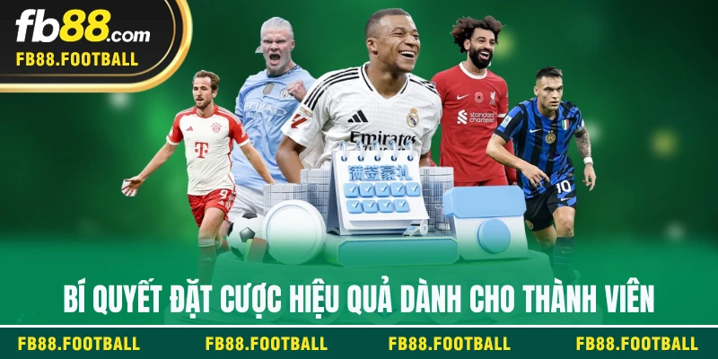 Bí quyết đặt cược hiệu quả dành cho thành viên