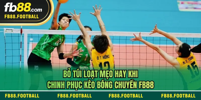 Bỏ túi loạt mẹo hay khi chinh phục kèo bóng chuyền FB88