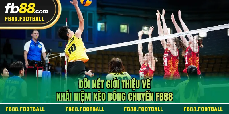 Đôi nét giới thiệu về khái niệm kèo bóng chuyền FB88
