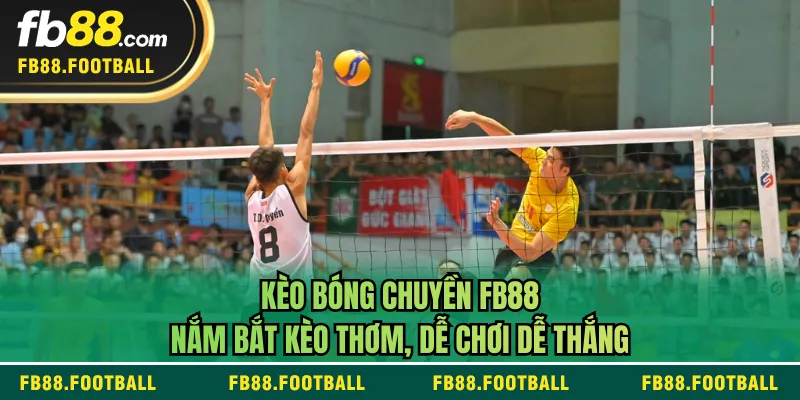 Kèo Bóng Chuyền FB88 - Nắm Bắt Kèo Thơm, Dễ Chơi Dễ Thắng