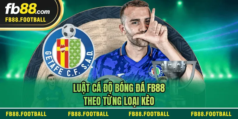 Luật cá độ bóng đá FB88 theo từng loại kèo