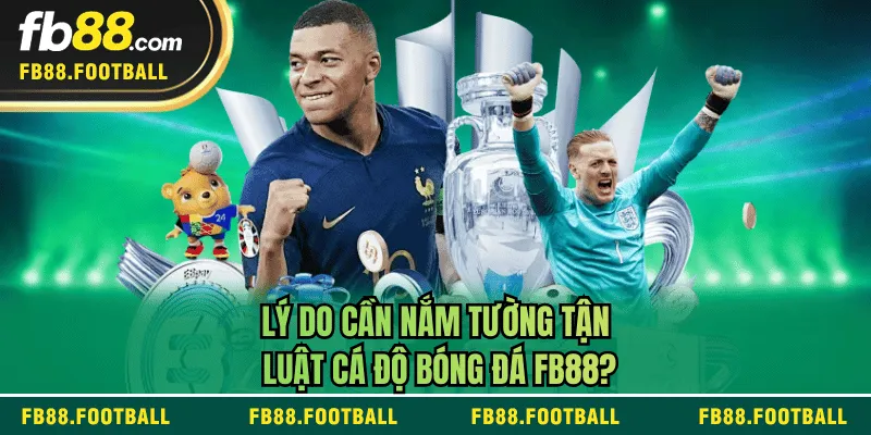 Lý do cần nắm tường tận luật cá độ bóng đá FB88?