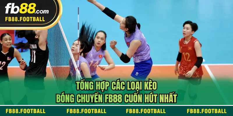 Tổng hợp các loại kèo bóng chuyền FB88 cuốn hút nhất